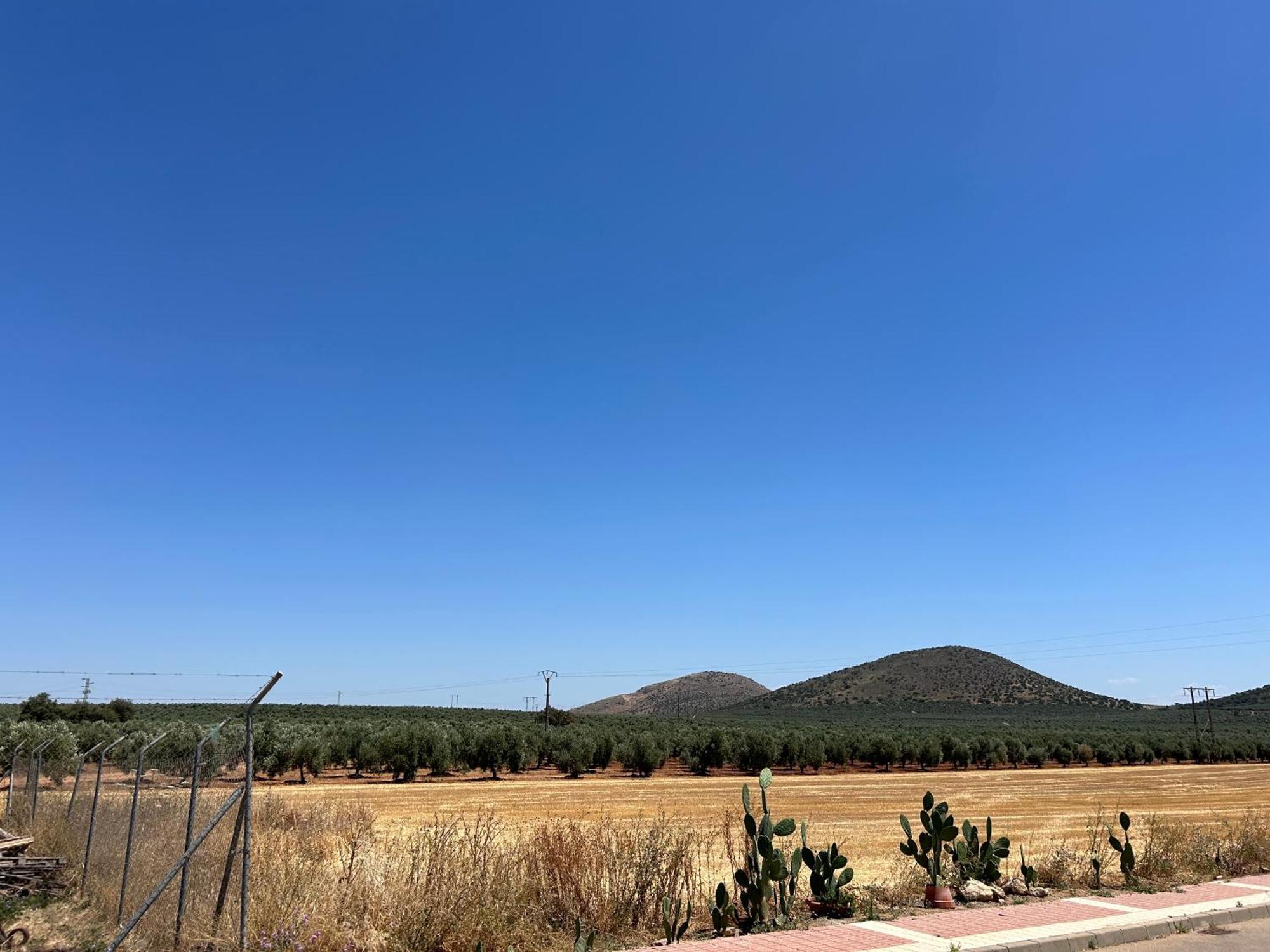 Holiday home La Casita De Blanca